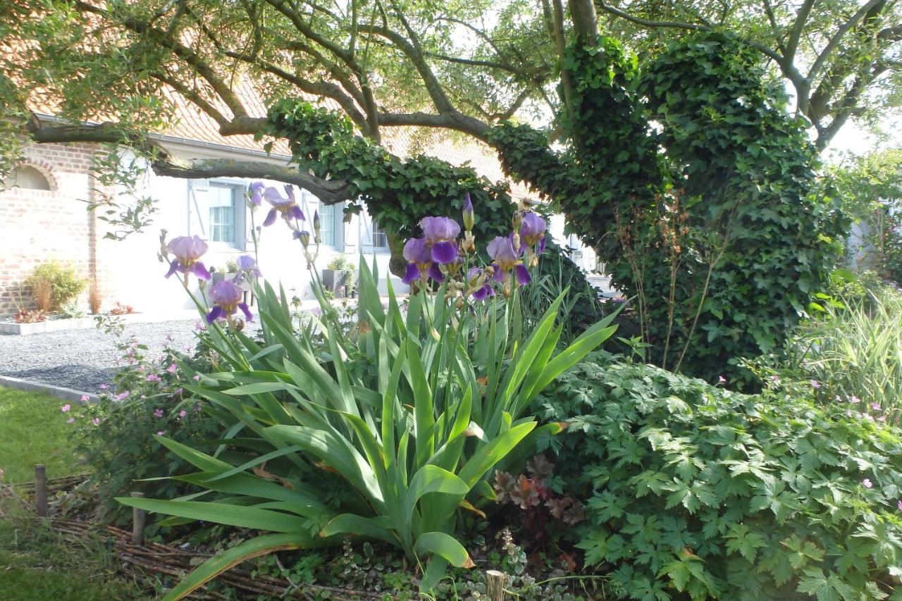 Bed and Breakfast Au Reve En Somme Hautvillers-Ouville Esterno foto